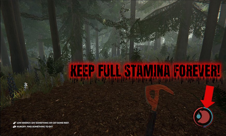 The Forest — Immortal Camper (screenshot 3)